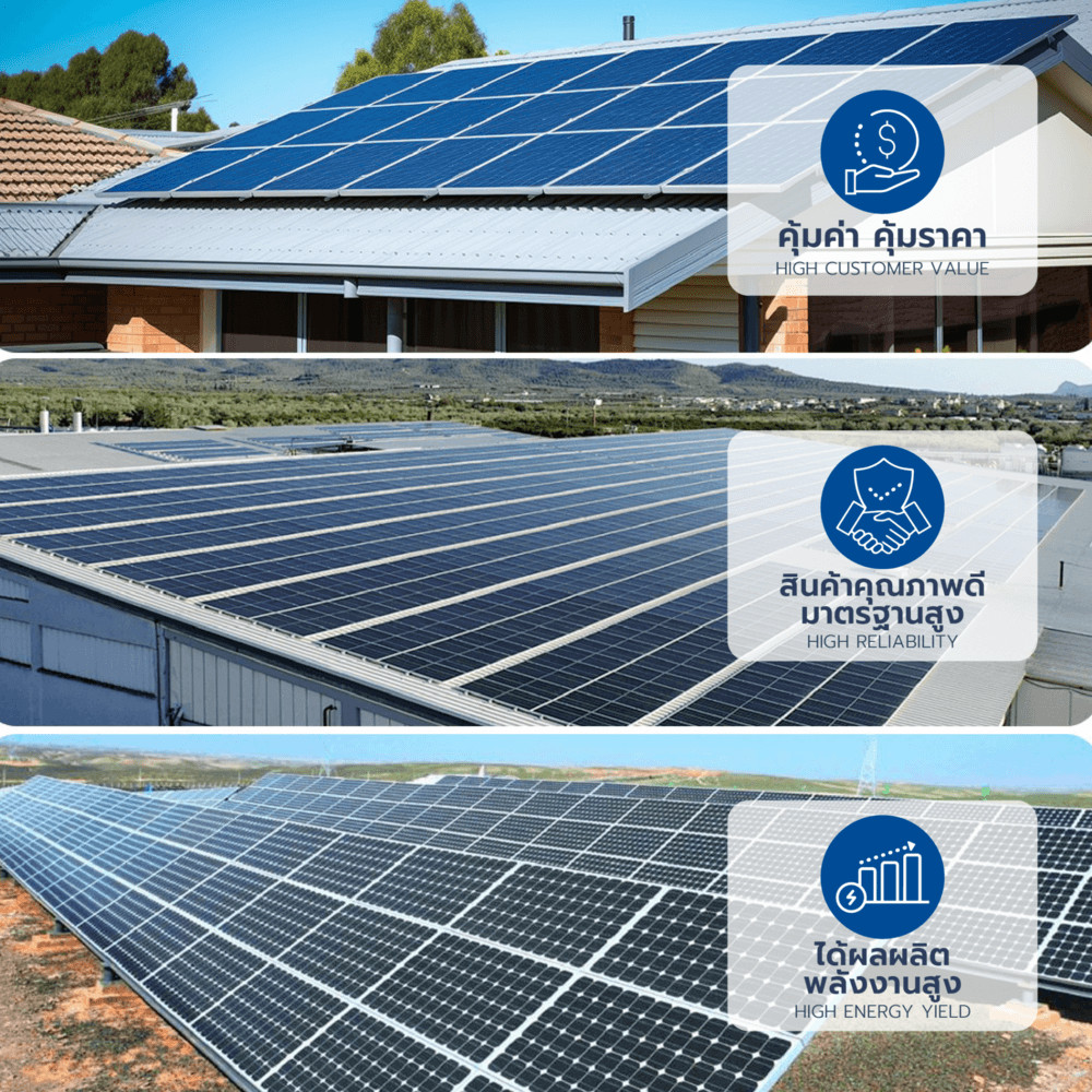 รูปภาพ 3