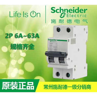 [ของแท้ดั้งเดิม] A9f19250 Schneider Small Circuit Breaker Micro-Break Open IC65N 2P D50A