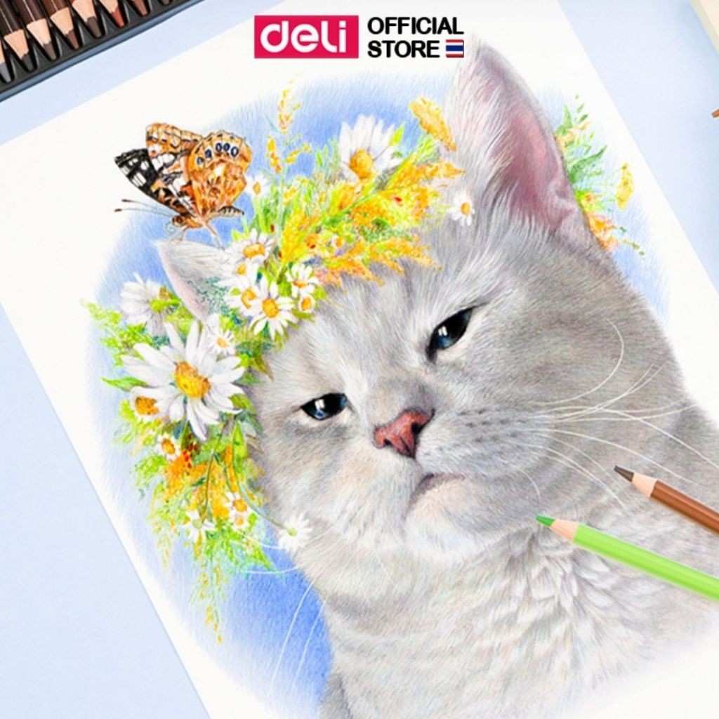 Deli أقلام تلوين خشبية 6565 بعلبة معدنية 24 / 36 / 48 / 72 لوناً — صورة 7