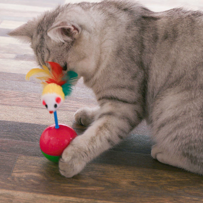 Pet Record ลูกบอลล้มลุก ของเล่นแมว กระตุ้นสัญชาตญาณล่าเหยื่อ thumbnail 9