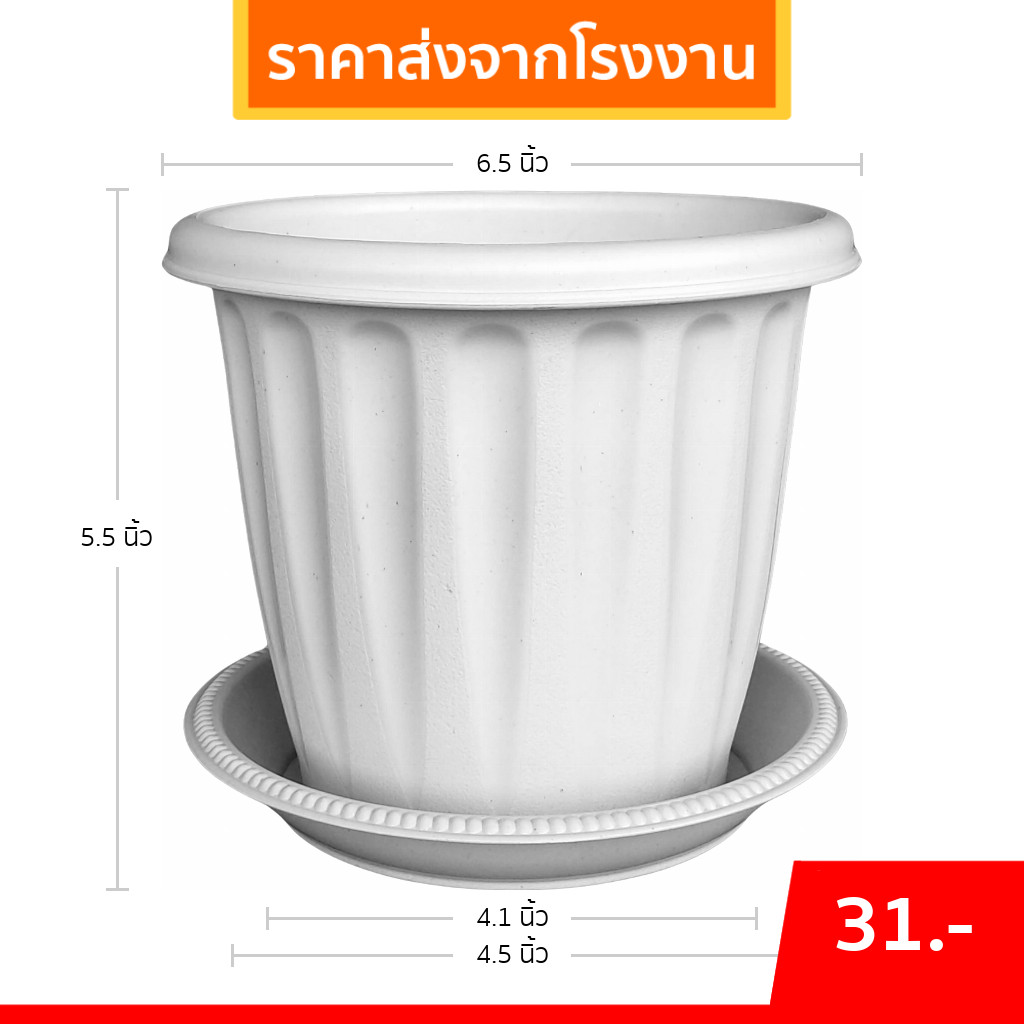 กระถาง กระถางต้นไม้ มินิมอล โรมัน+จาน ขนาด 6 นิ้ว สีดำ สีขาว สีเทา สีอิฐ Bundle 5 ใบ ชิ้น อัน