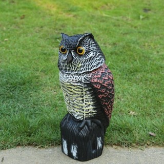 Deterrent Decoy การควบคุมศัตรูพืชที่มีประสิทธิภาพและการตกแต่…