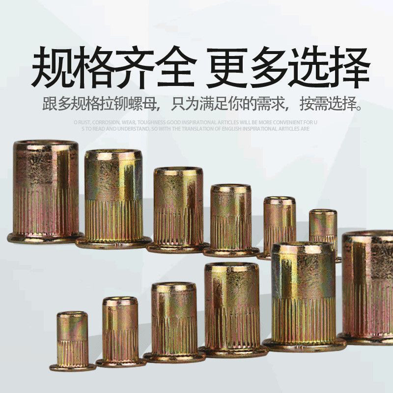 Flat Rivet Nut Standard แนวตั้งถัก Rivet Nut Rivet Nut JZXS