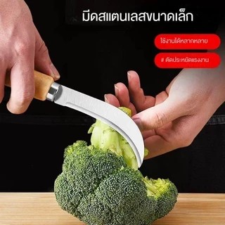 มีดตัดผลไม้ มีดโค้ง มีดตัดกล้วย มีดตัดเครือกล้วย มีดปาดกล้วย มีดปลอกกล้วย สแตนเลส เกรด A มีดหัวงอ มีดกรีดผลไม้