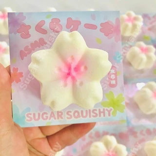 สกุชชี่น้ําตาล ดอกซากุระสีชมพู สกุชชี่ที่เพิ่มขึ้นช้า
