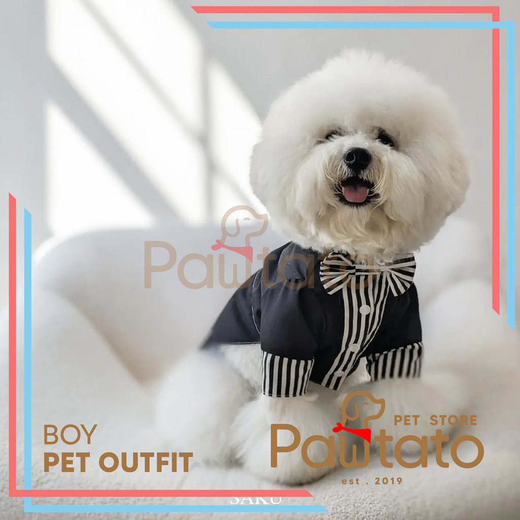 Valentine Boy Male Dog Pet Shirt Fashion Puppy Male Premium Pawtato Pet Store Pawtato Pet Store