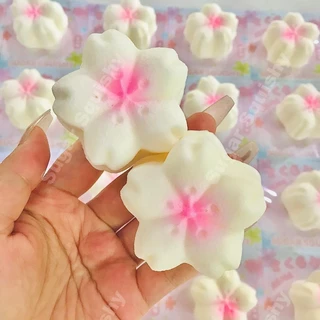สกุชชี่น้ําตาล ดอกซากุระสีชมพู สกุชชี่ที่เพิ่มขึ้นช้า