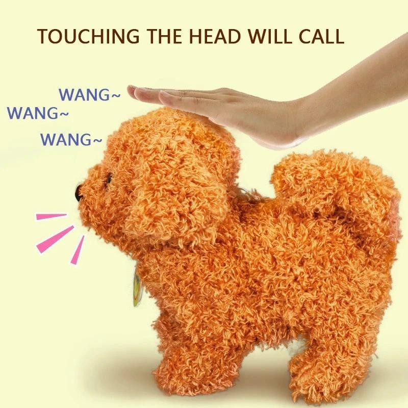 รูปภาพ 7