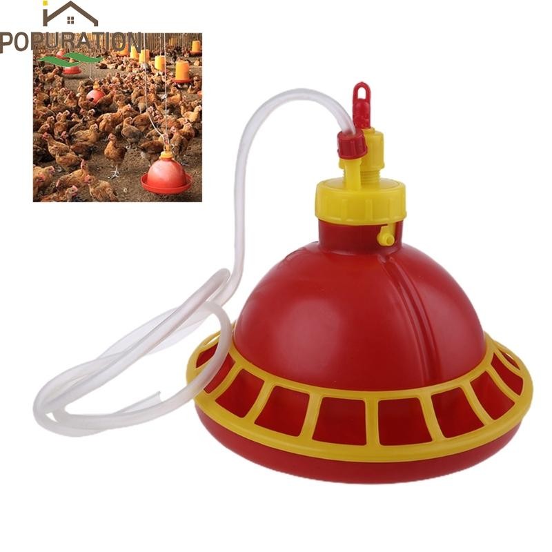 Pop ไก่ Feeders พลาสติกอัตโนมัติสัตว์ปีกดื่มน้ําพุตู้น้ําสําหรับ Chicks นกนกพิราบนกกระทาง่าย