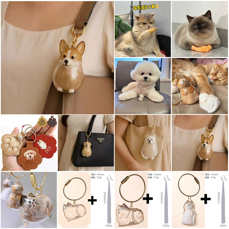 Dogdan Dog Hair Collector Pendant Transparent Pet Hair Capsule Key Chain Pack จี้ที่ระลึก