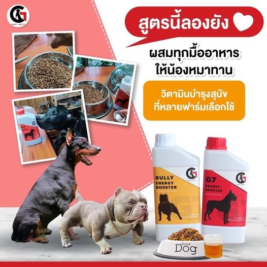อาหารเสริมสุนัข วิตามินหมา แมว อาหารบำรุงสุนัข แมว G7 Energy Booster ขนาด 1000ml เทผสมอาหารน้องได้เลย ทานง่าย ต้านทานโรค