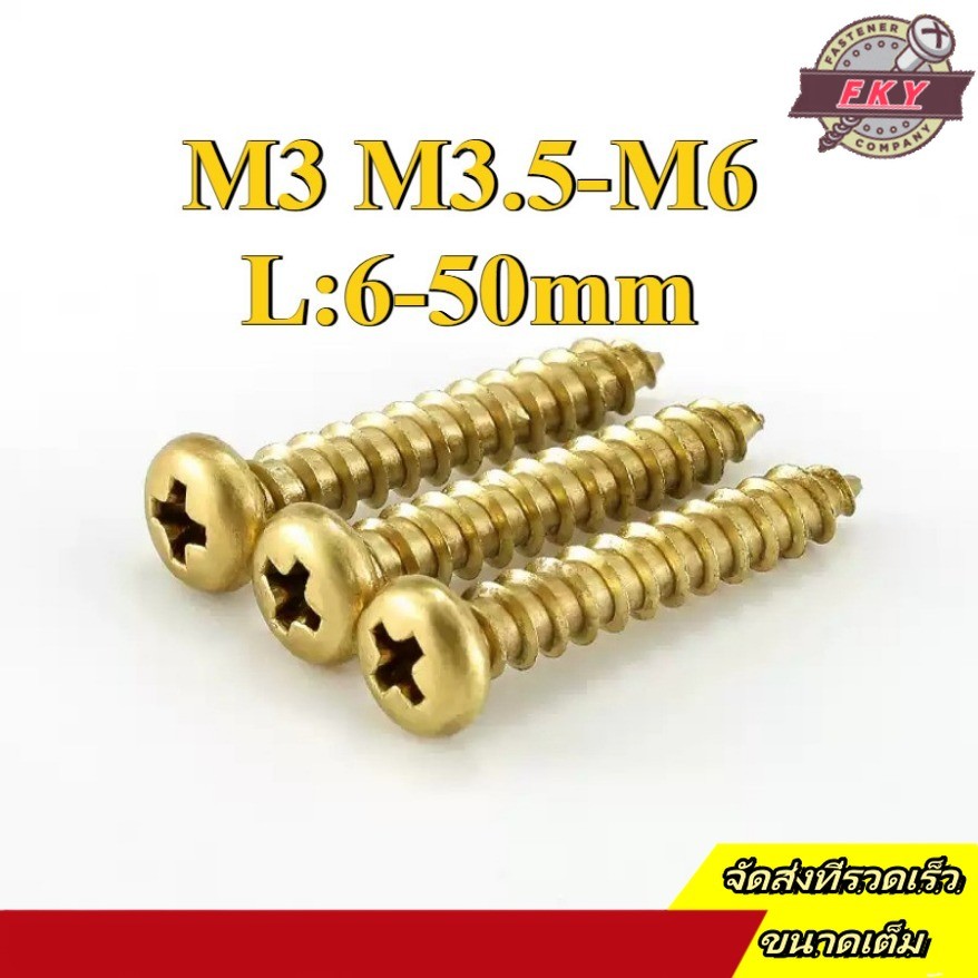 สกรู เกลียวปล่อย ทองเหลือง หัวกลม หัวแพน แฉก P+ ปลายแหลม น็อต Pan Head Phillip Tapping Screw M3/M3.5/M4/M5/M6 * L6-50MM (FKY-RM-TH-1)