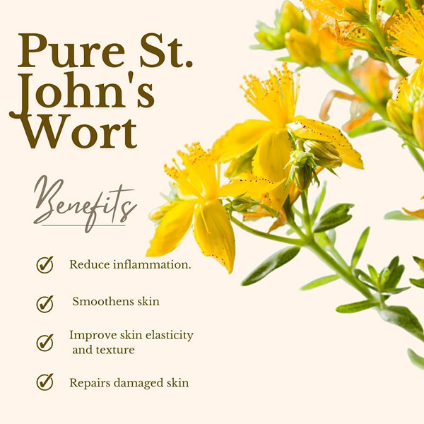 Sunshine Organic St. John Wort oil 100ml | น้ำมันเซนต์จอห์นเวิร์ตออร์แกนิก | Sunshine Market — صورة 3