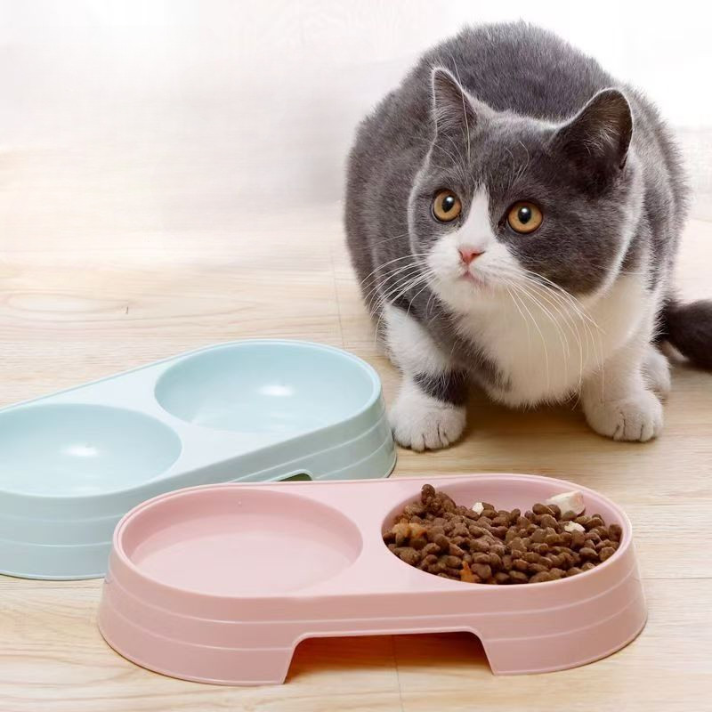 ชามแมว ชามสุนัข ชามคู่ One pp Candy Color Pet Bowl Dual-Use Cat Pet Bowl ชามอาหาร