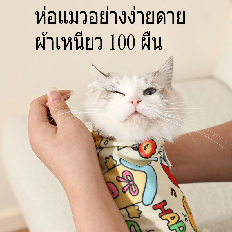 รูปภาพ 6