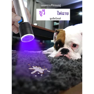 ⚡TBA ไฟฉาย UV ซูมได้ 395 / ไฟฉายอัลตราไวโอเลต LED UV 3 โหมด แบบชาร์จไฟได้ USB กันน้ํา สําหรับสัตว์เลี้ยง แมงป่อง ตรวจจับ