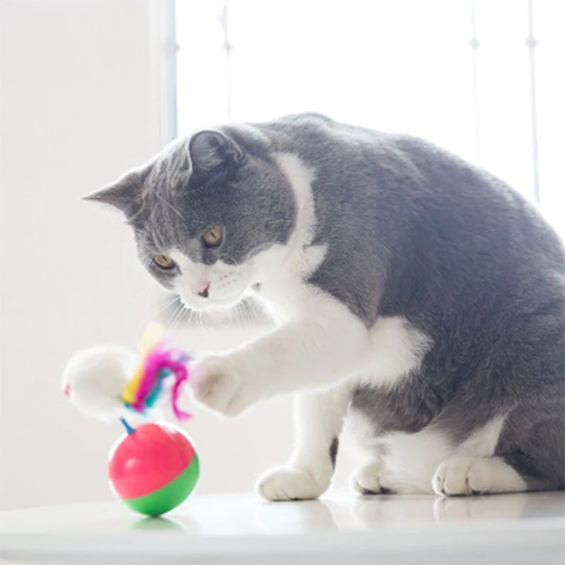 Pet Record ลูกบอลล้มลุก ของเล่นแมว กระตุ้นสัญชาตญาณล่าเหยื่อ thumbnail 5