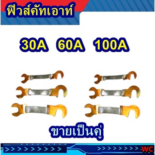ฟิวส์คัทเอาท เลือกได้ ฟิวส์คัทเอาท์ ฟิวส์ก้ามปู 30A,60A,100A…