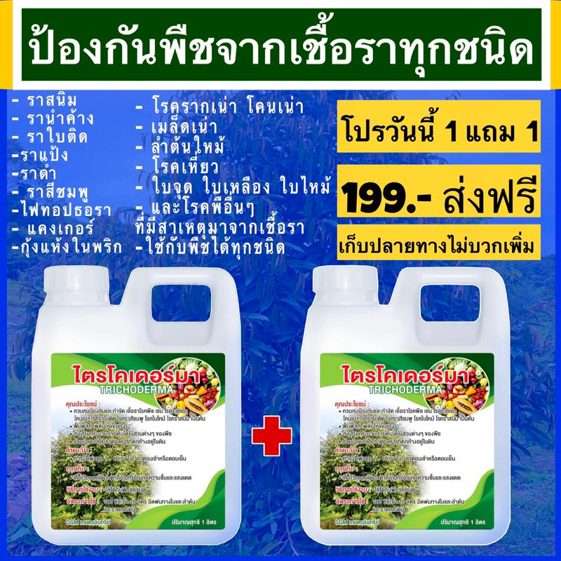 ไตรโครเดอร์มา 1 ลิตรแถม1ลิตร (GGM)
