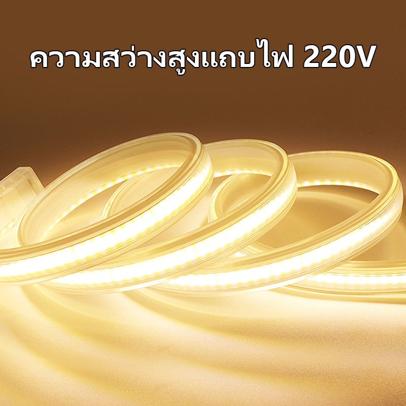 Super Bright แรงดันไฟฟ้าสูง 220VLED Light Strip สวนไฟในร่มเปลี่ยนได้อย่างอิสระ 3 M/5 M/10 M/15M20M