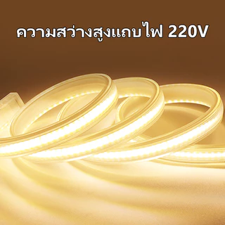 Super Bright แรงดันไฟฟ้าสูง 220VLED Light Strip สวนไฟในร่มเปลี่ยนได้อย่างอิสระ 3 M/5 M/10 M/15M20M