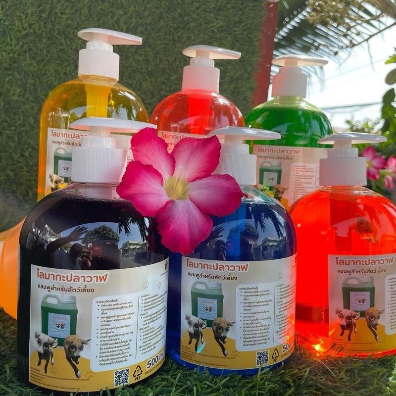 แชมพูสำหรับสัตว์เลี้ยง โลมากะปลาวาฬ หัวปั๊ม 500 ml  หอมนาน แก้คัน แชมพูอาบน้ำสุนัข แชมพูอาบน้ำแมว MTH.PETS CARE STORE - รูปที่ 3