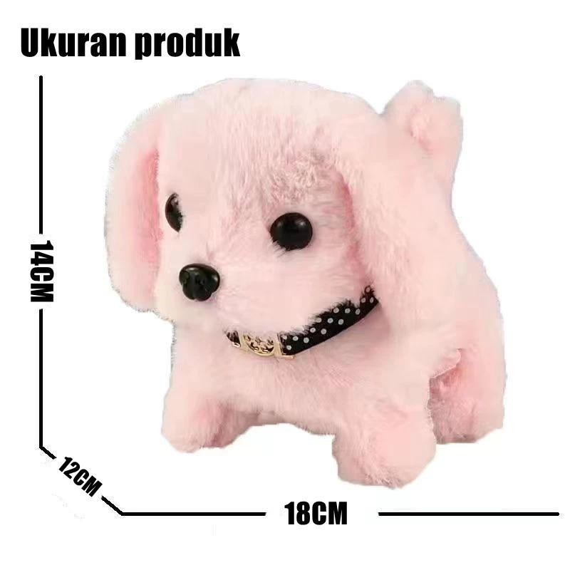 รูปภาพ 9