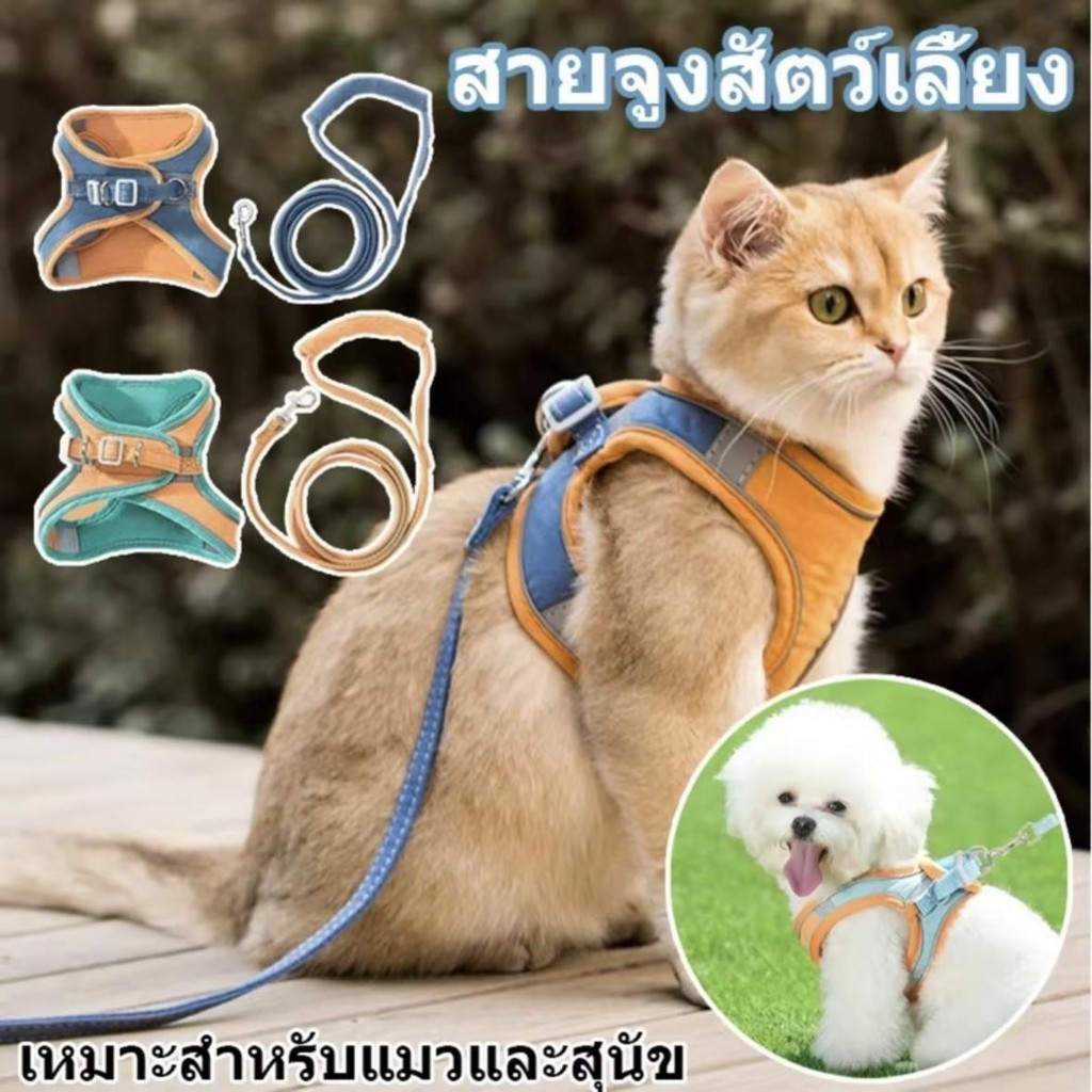 เสื้อกั๊กสัตว์เลี้ยง sสายรัดและสายจูงแมวสําหรับเดินหนีหลักฐานปรับสายรัดเสื้อกั๊กลูกแมวสะท้อนแสงตาข่ายอ่อนสายรัดลูกสุนัขส