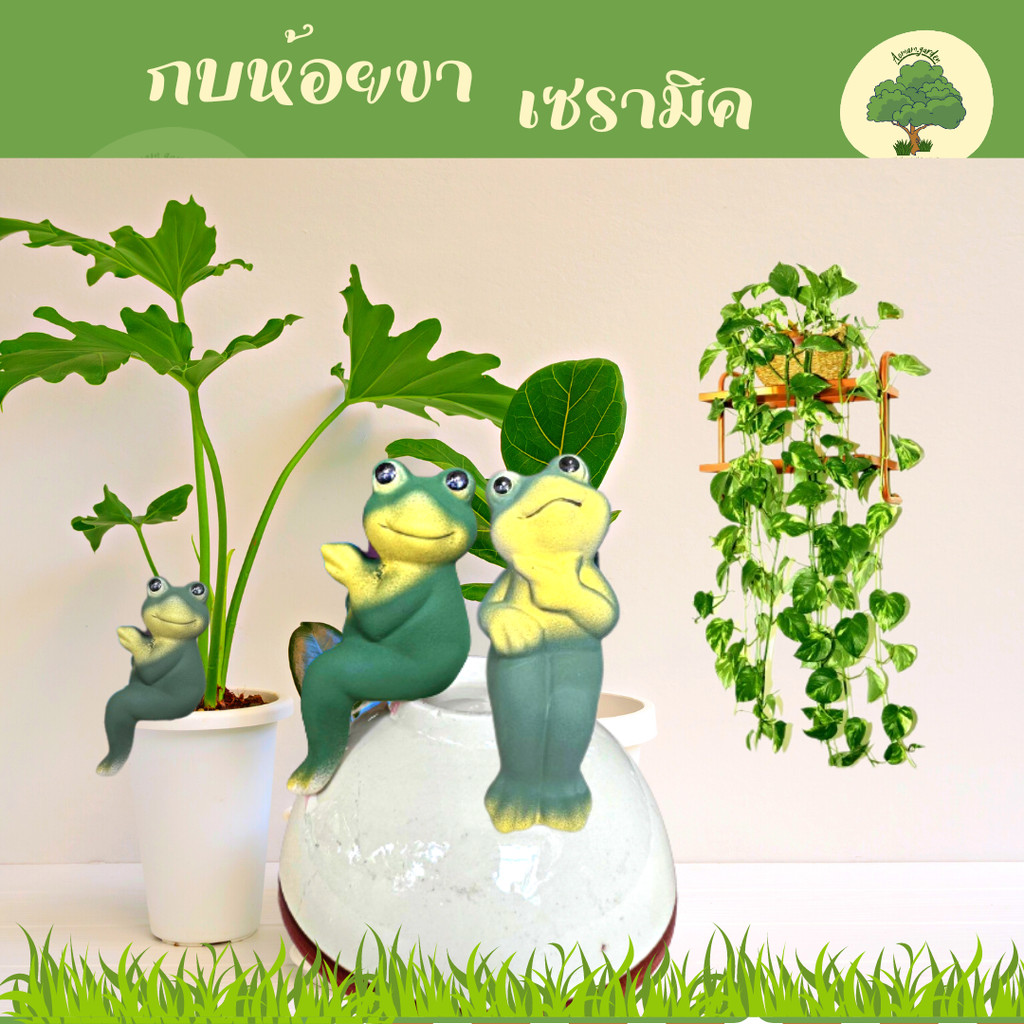 กบห้อยขา กบเซรามิค คละแบบ ตกแต่งสวน อ่างปลา อ่างบัวตุ๊กตาประดับสวน ตุ๊กตาจัดสวน ตกแต่งสวน ร้าน Aomam.gerden