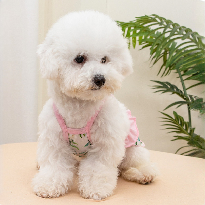 ชุดว่ายน้ำสุนัขรventiโลชดี ทะลุลมinaçãoดี | ผ้าแผงอ่อนนิ่ม | สำหรับทะเล & สวimming pool | XS-XL - รูปที่ 6