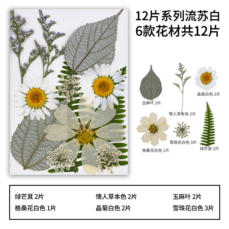 ดอกไม้แห้งวัสดุ DIY dropper วัสดุแพคเกจ DIY ที่คั่นหนังสือ รูปที่ 8
