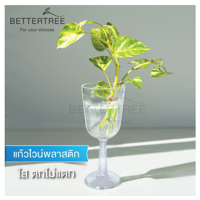 แก้วไวน์พลาสติก ใส่ต้นไม้น้ำได้