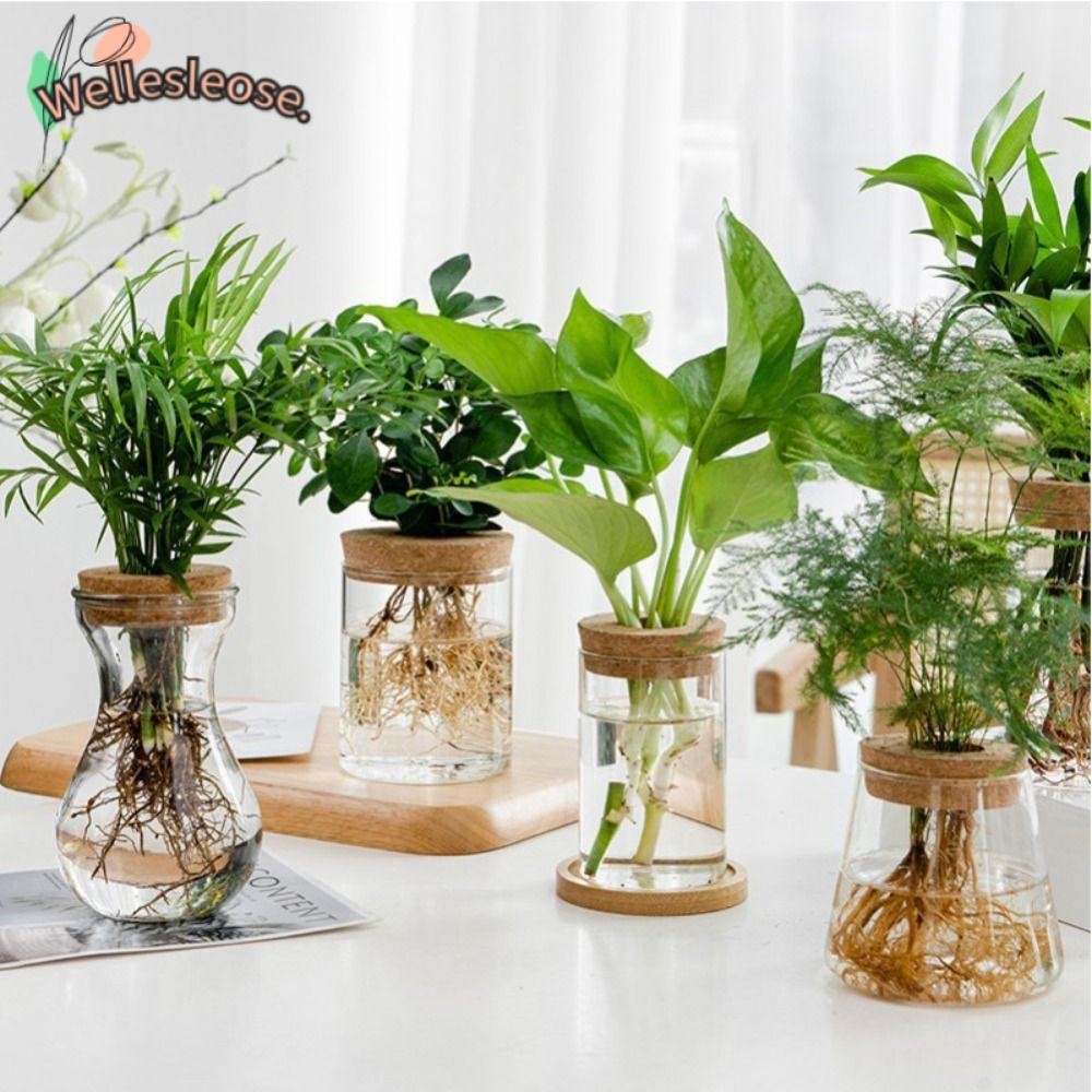 Welle บ้านแจกันแก้ว, โปร่งใส Soilless Hydroponic กระถางดอกไม้, ตกแต่ง Creative Mini Potted Terrarium