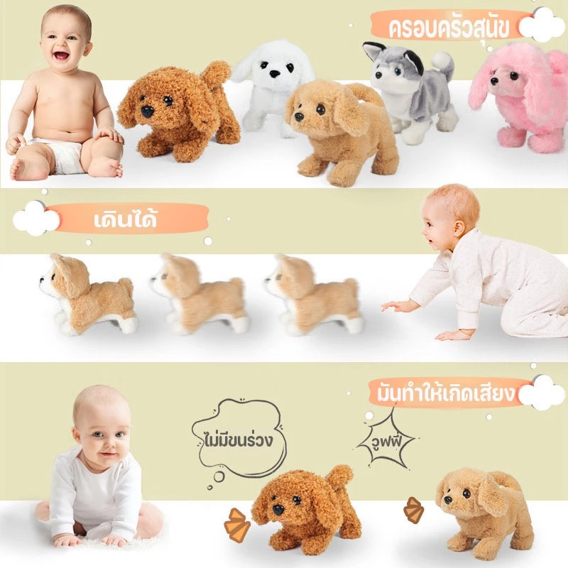 รูปภาพ 6