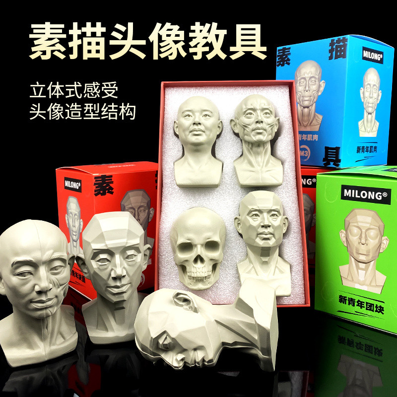 ส่วนหัวคืออุปกรณ์ช่วยสอนอวตารมิรอนยิปซั่มสเก็ตช์ภาพนักเรียนศิลปะรูปปั้นปูนปลาสเตอร์เรซินกะโหลกโมเดลเครื่องประดับ [DJY]