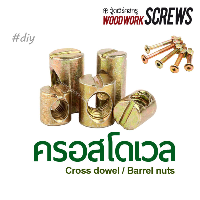 สลักเกลียวเฟอนิเจอร์ Cross Dowels/Barrel Nuts บาเรล ครอสโดเวล ตัวเมีย ยึดหัวเตียง ตู้ เปล ราว เกลียวมิล ซิ้งเหลือง M6 M8