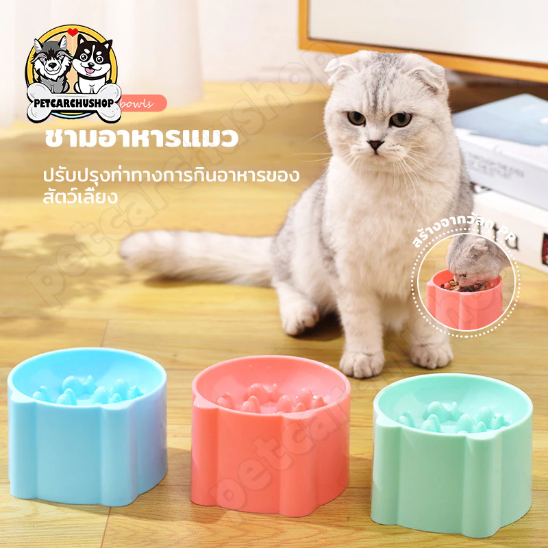 ส่งจากไทย ชามใส่อาหาร ชามอาหารสัตว์เลี้ยง ลายการ์ตูน สุนัข หมา แมว ฝึกให้ทานช้าลง ช่วยลดการสำลัก