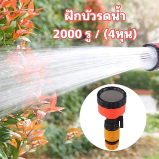 ฝักบัวรดน้ำ 2000 รู และ 1000 รู ขนาด 4หุน,5-6หุน ฝักบัวรดน้ำแคคตัส ฝักบัวรดน้ำบอนไซ ฝักบัวรดน้ำต้นไม้
