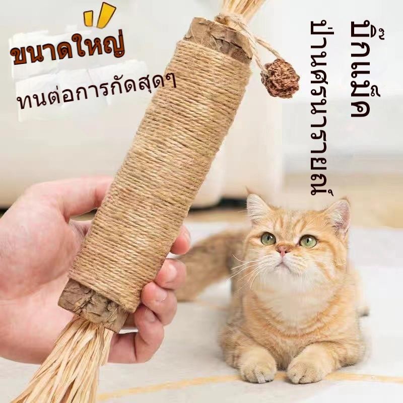 ไม้แมวเมา อันใหญ่ ไม้ขัดฟันแมว ของเล่นแมว ลดคราบหินปูน กัญชาแมว ของเล่นทำความสะอาดฟันแมว