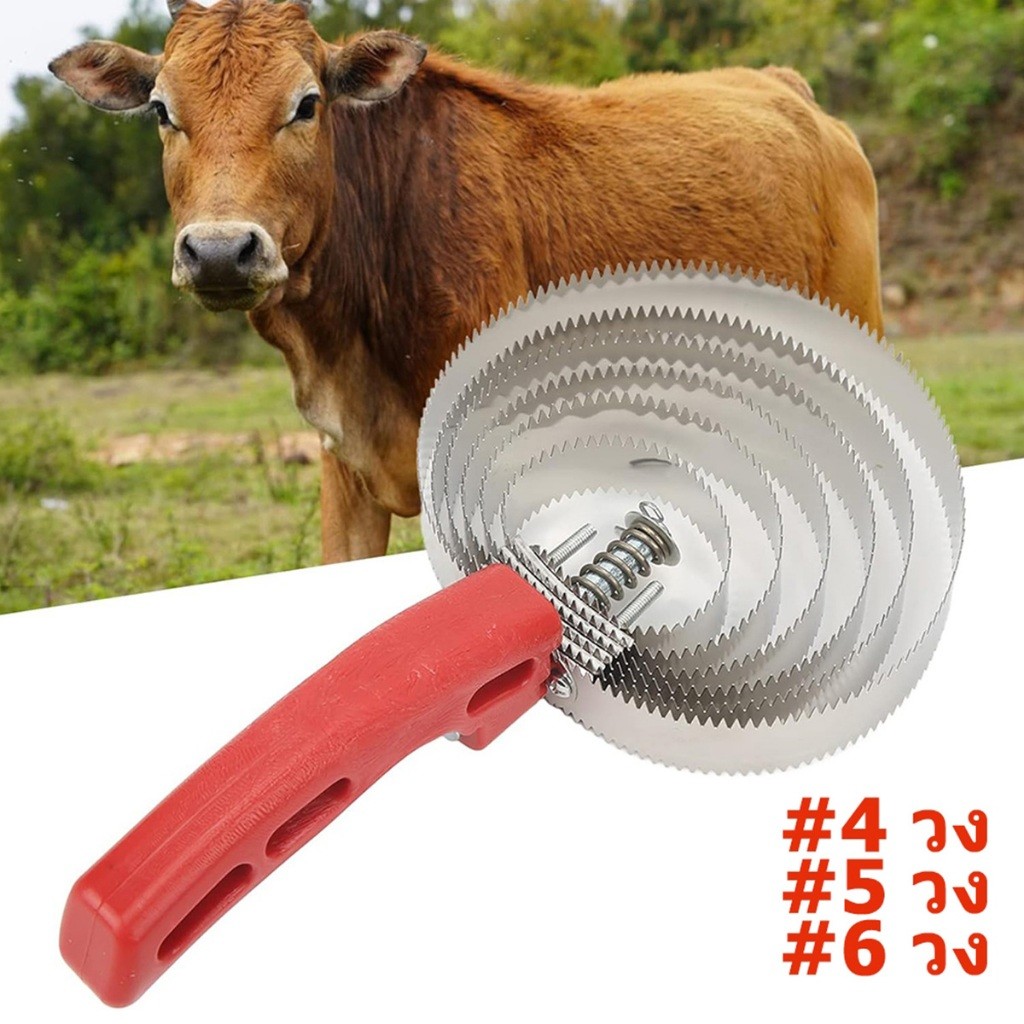 จัดส่งรวดเร็ว 4วง 5วง 6วง แปรงเกาขนวัว แกะ ม้า แปรงขัดวัว แบบสแตนเลส ขุดเห็บ แก้คัน ผ่อนความเครียดสัตว์เลี้ยง - รูปที่ 2