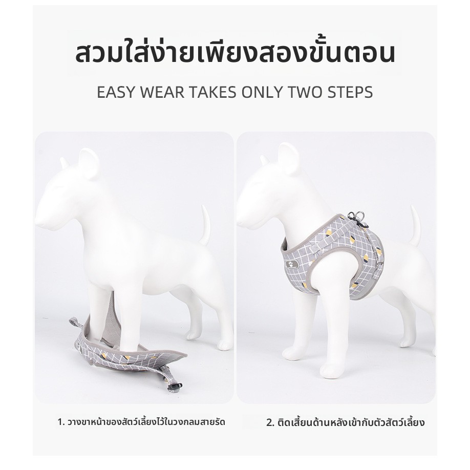 ชุดสายจูง+สายรัดอกสุนัขแมว ลายสก๊อต สุดคุ้ม! ระบายอากาศดี โอบกระชับไม่คัดคอ สำหรับขนาดเล็ก - รูปที่ 4