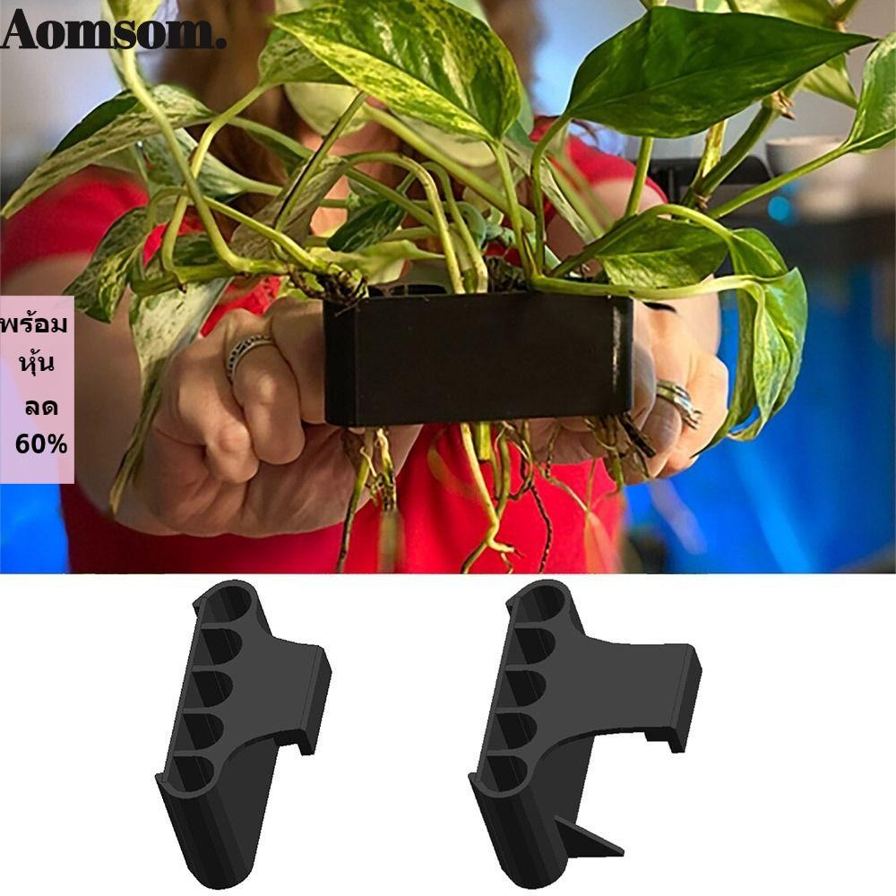 Aomsom Emerging Plant Holder ภูมิทัศน์อ่างล้างหน้า Hydroponic Glass Pot Storage Rack