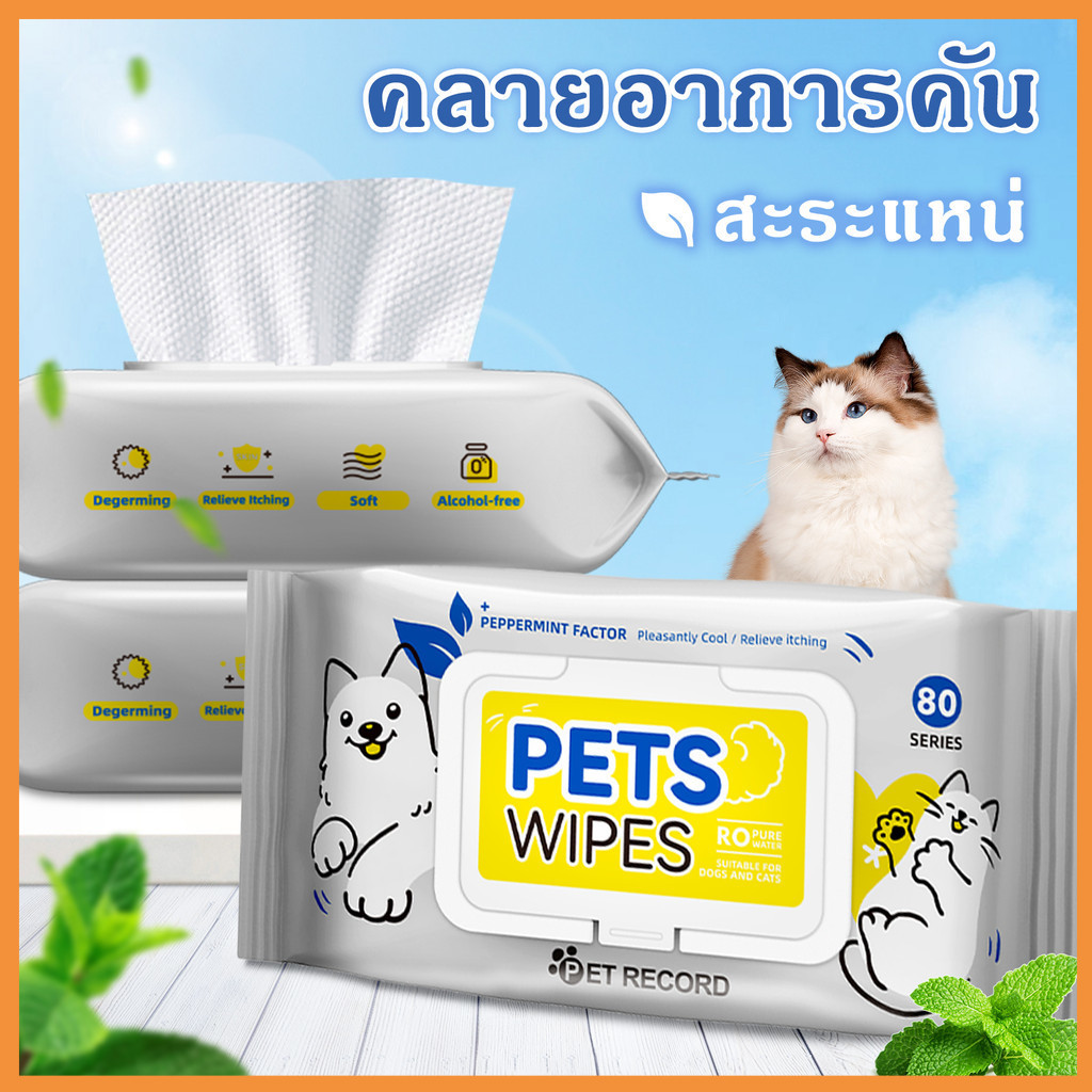 ผ้าขนหนูเปียก 80 ตัวที่ใช้ในการเช็ดตาสัตว์เลี้ยงและหูผ้าขนหนูเปียกผ้าขนหนูกระดาษสุนัขผ้าขนหนูเปียกสัตว์เลี้ยง