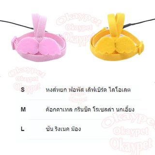 สายจูงนกแก้ว สามารถยืดได้ เชือกจูง สายเชือกฝึกบิน เชือกลากจูงนก ติดปีก