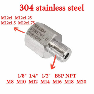 M12หญิงชาย M10 M12 1/8 "1/4" 3/8 "BSP NPT HEX ลดบุช304สแตนเลสอะแดปเตอร์แรงดันสูงสำหรับเครื่องวัดความดัน