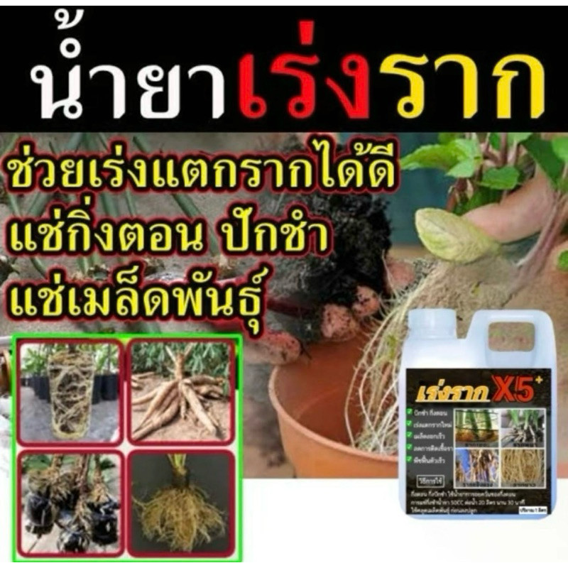 น้ำยาเร่งราก 1ลิตร เร่งการแตกรากใหม่ พืชดูดซับแร่ธาตุอาหารได้มากขึ้น รากแข็งแรงต้นสมบูรณ์