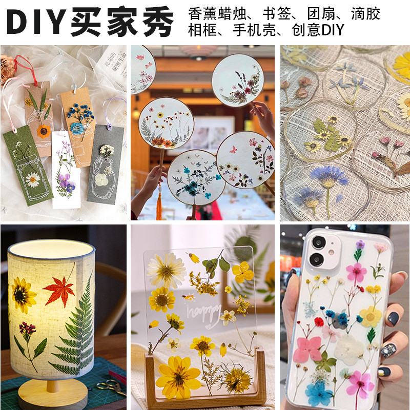 ดอกไม้แห้งวัสดุ DIY dropper วัสดุแพคเกจ DIY ที่คั่นหนังสือ รูปที่ 5