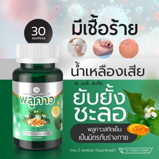 [ช่องบริษัท] พลูคาว สกัดเย็น [มีโปร1แถม1] ผิวหนัง กลากเกลื้อ…
