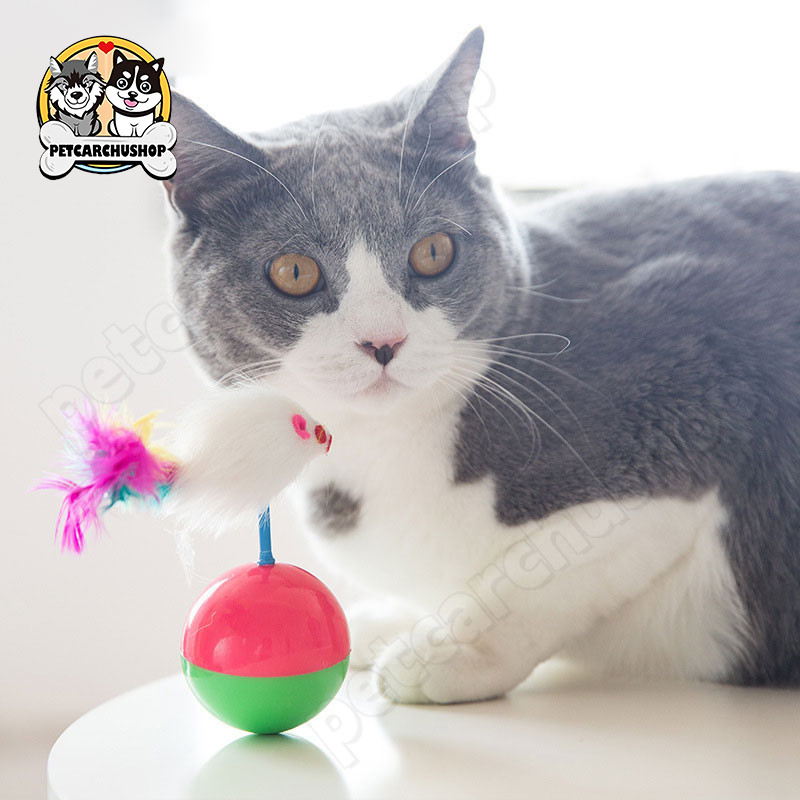 ลูกบอลหนูล้มลุก ลูกบอลล้มลุก บอลกรงหนู หนูล้มลุก บอลของเล่นแมว ลูกบอลขนนกล้มลุก ตุ๊กตาล้มลุก ลูกบอลขนนกล้มลุก/ของเล่นแมว - รูปที่ 7