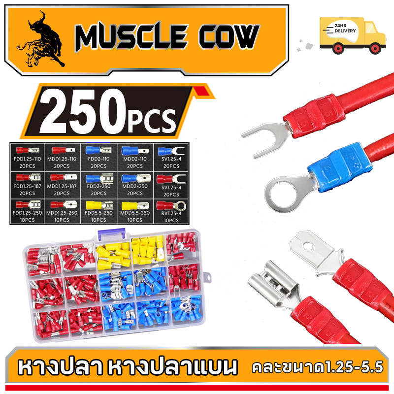 MUSCLE COW [ชุด 250 ชิ้น] ขายร้อนใหม่ หลายรุ่น ขั้วต่อสายไฟ ชุดหางปลา ข้อต่อ Fishplate Clamp แบบวงกลม เครื่องมือช่าง